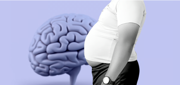 Belly fat linked to Alzheimer’s-related cognitive decline